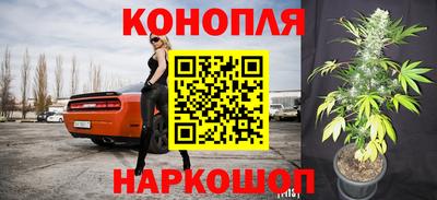 прущие грибы Татарск