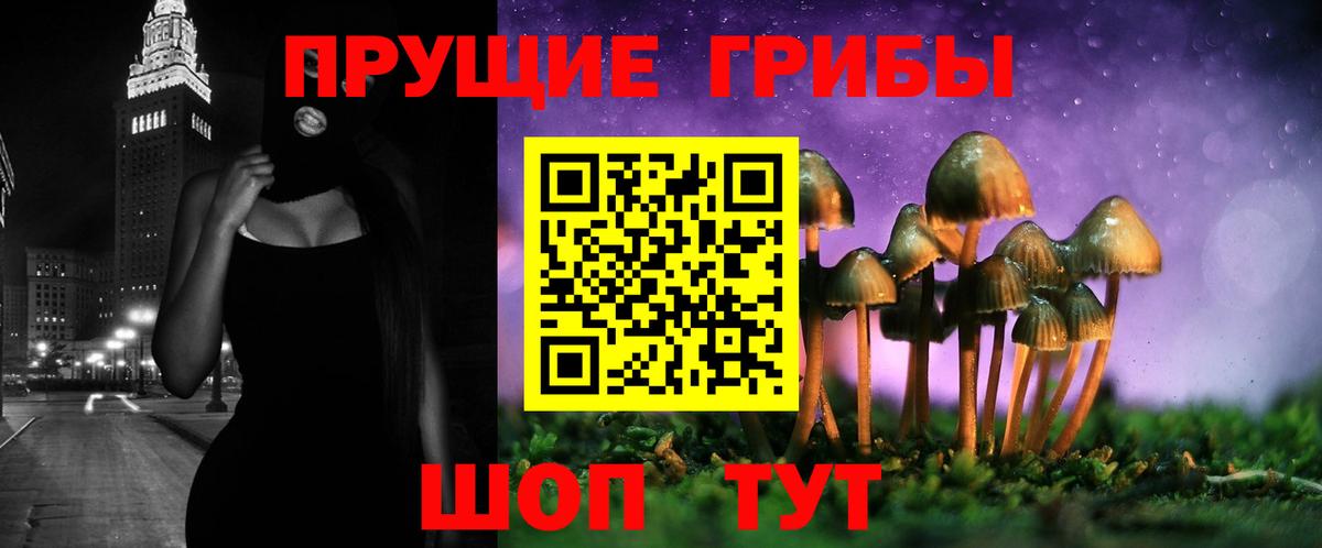 Псилоцибиновые грибы Psilocybine cubensis  купить закладку  Алексеевка  Вход с VPN 